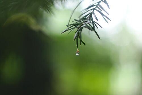 Nguoi Ra Di Nguyen Si kha • Rainy Day Memories • 2023