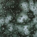 Canh Buom Nguyen Si Kha • Rainy Day Memories • 2023